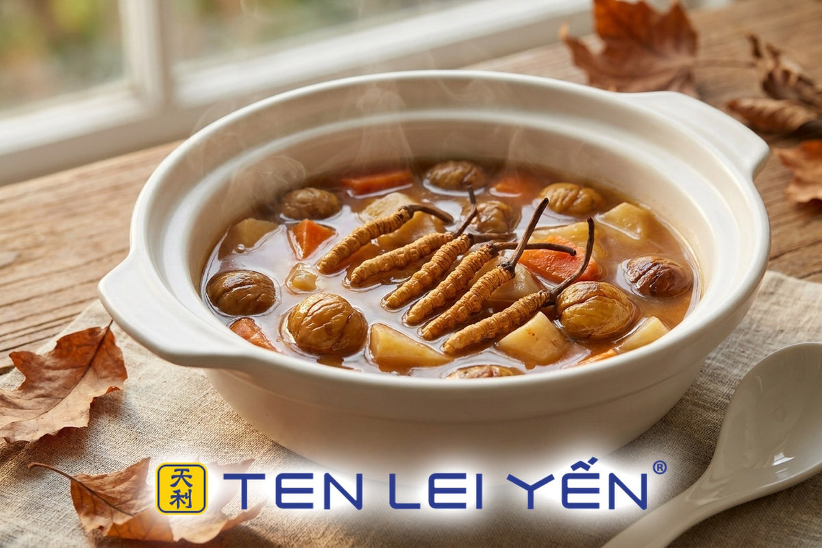 Wild cordyceps and chestnut autumn braise in a white porcelain pot