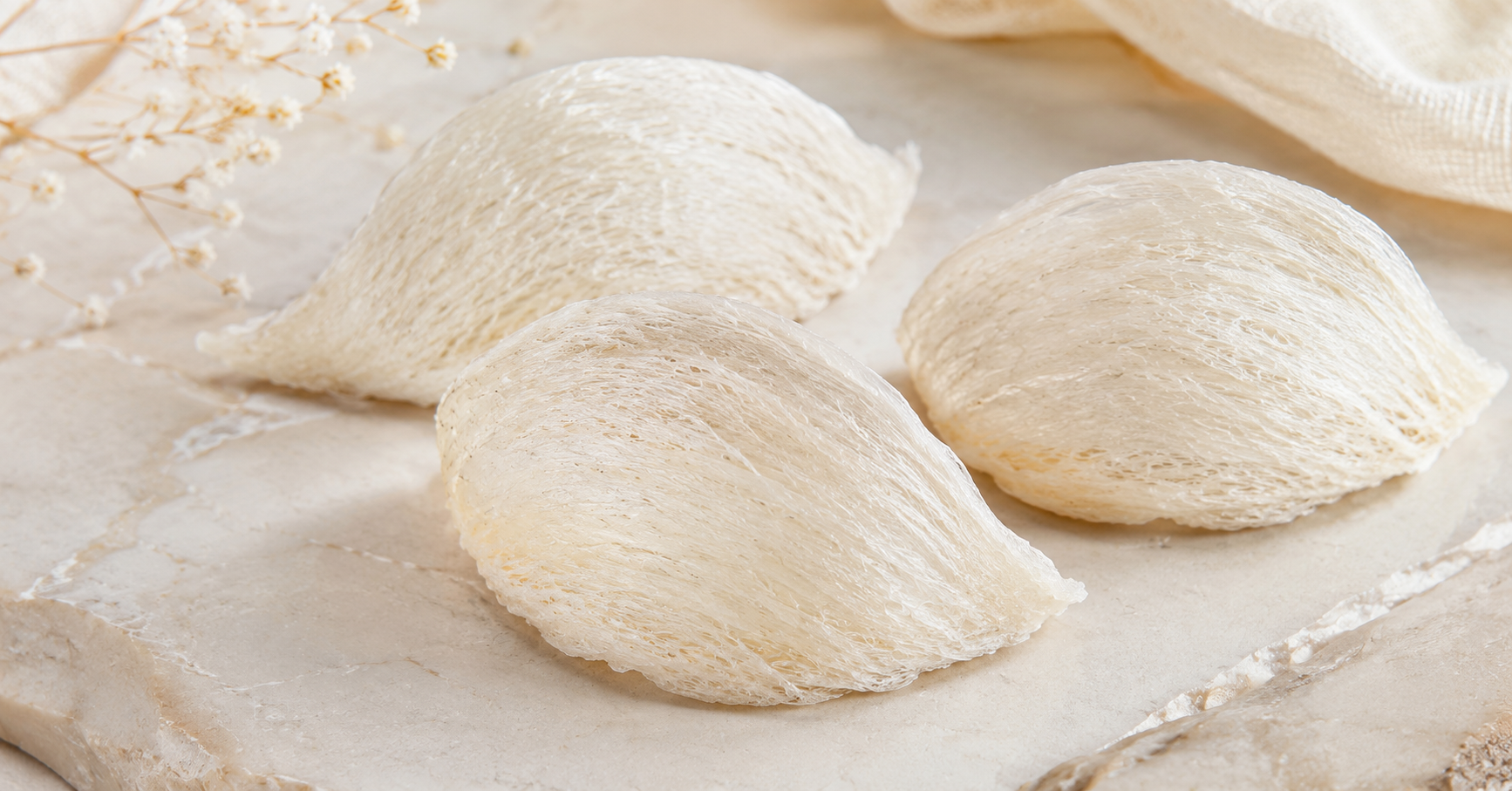 Why Is Edible Bird's Nest So Expensive? Understanding Price and Value