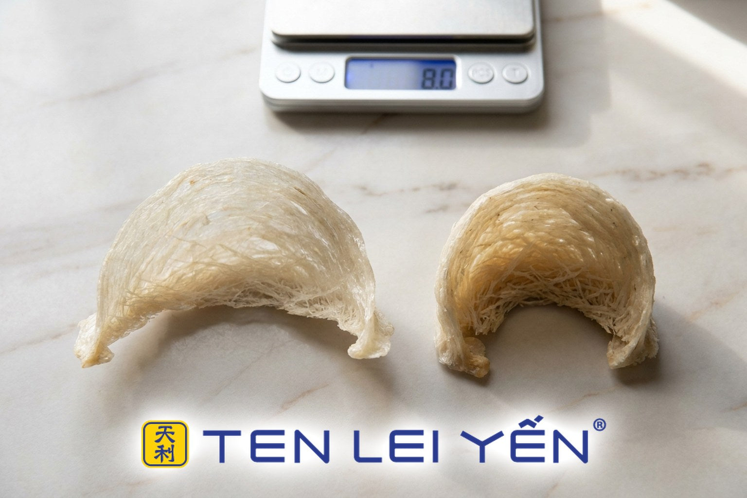 Two dried edible bird's nest cups of the same gram weight shown side by side on a marble counter, one thinner and wider, one thicker and denser