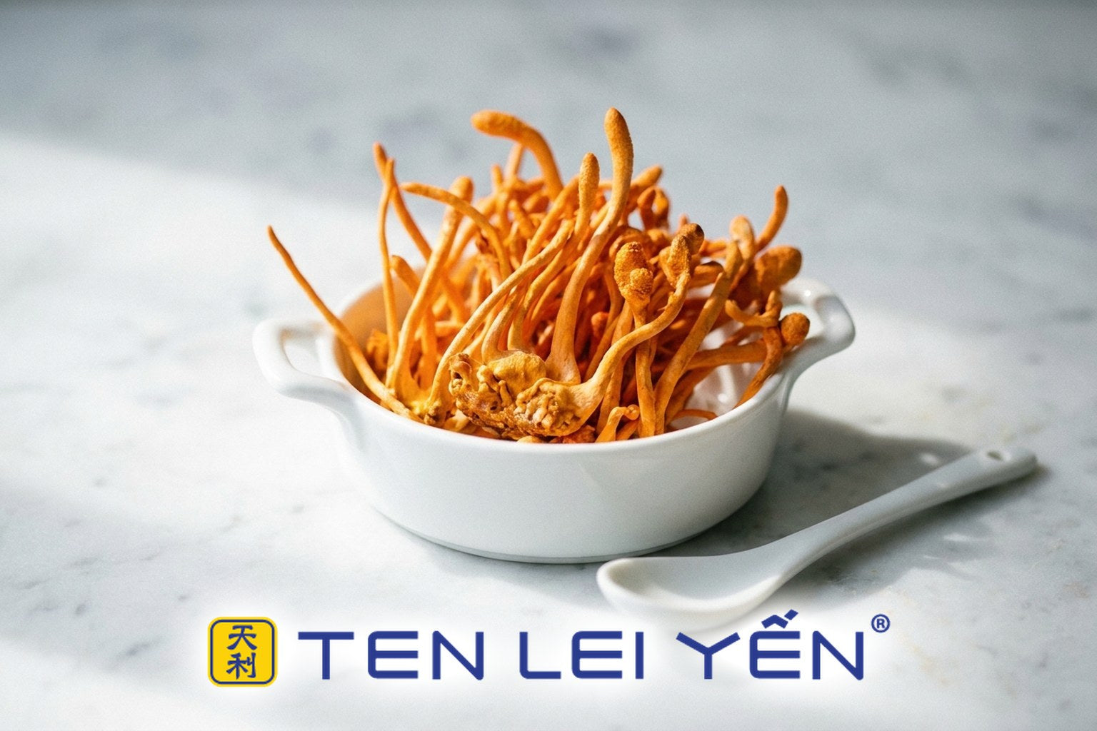 Bright orange Cordyceps militaris, also sold as cordyceps flower, in a small porcelain dish on a marble surface