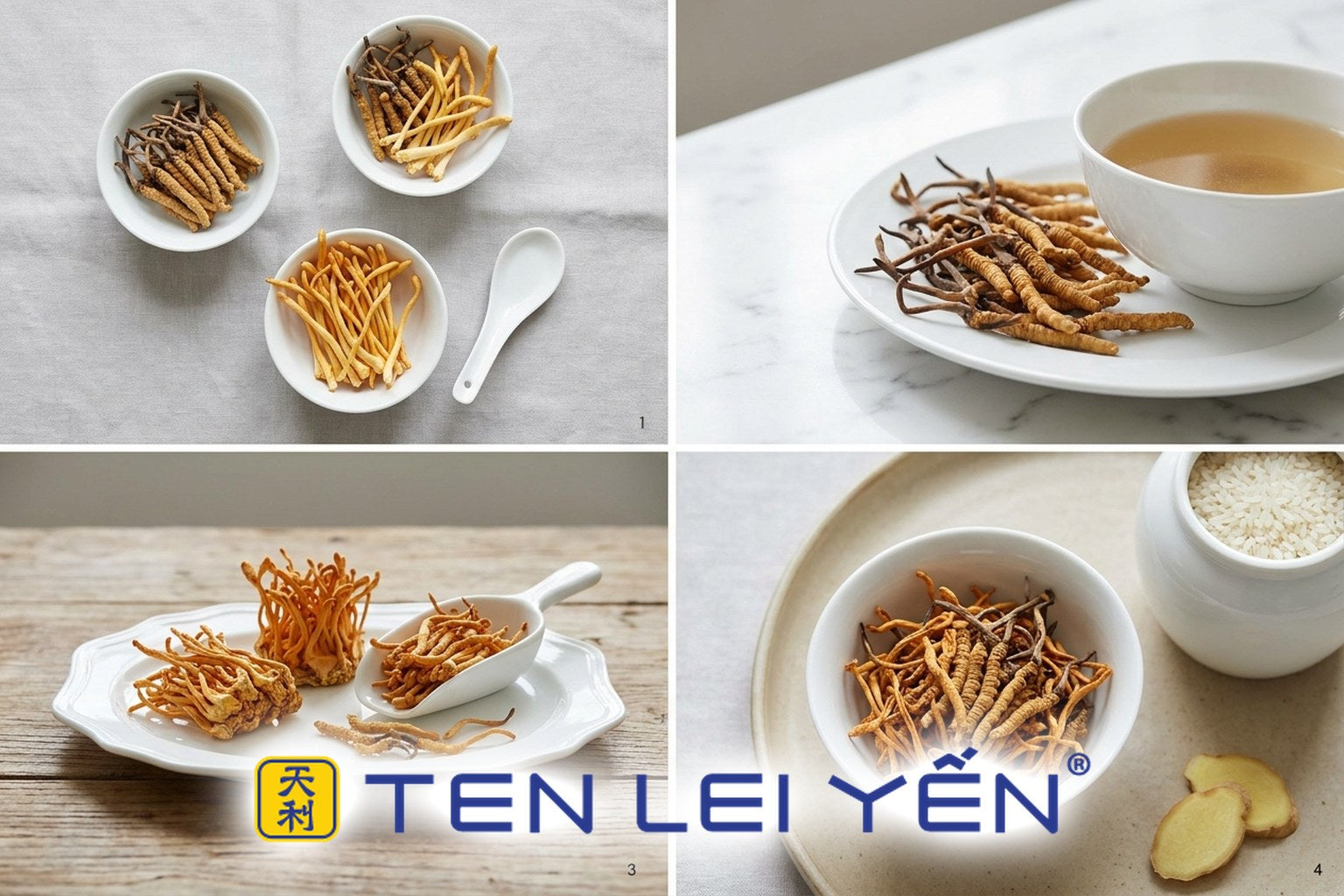 Buying Cordyceps to Cook With: What to Look For