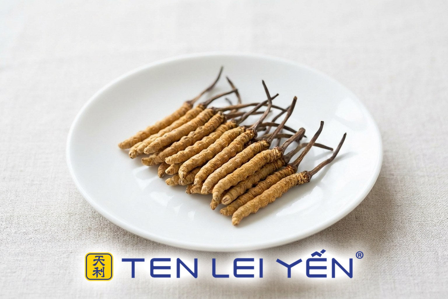 Whole dried wild cordyceps sinensis pieces on a white porcelain plate, each a tan-golden caterpillar body with a single slender dark stalk