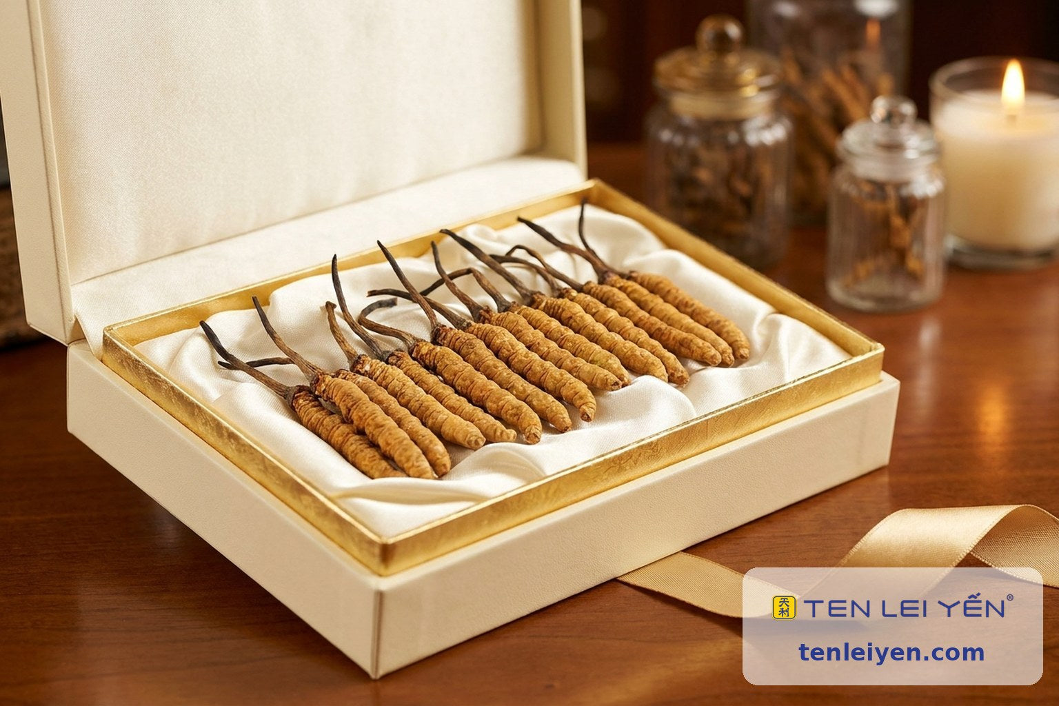 Open cream and gold gift box with whole wild cordyceps arranged on ivory silk lining beside a ribbon
