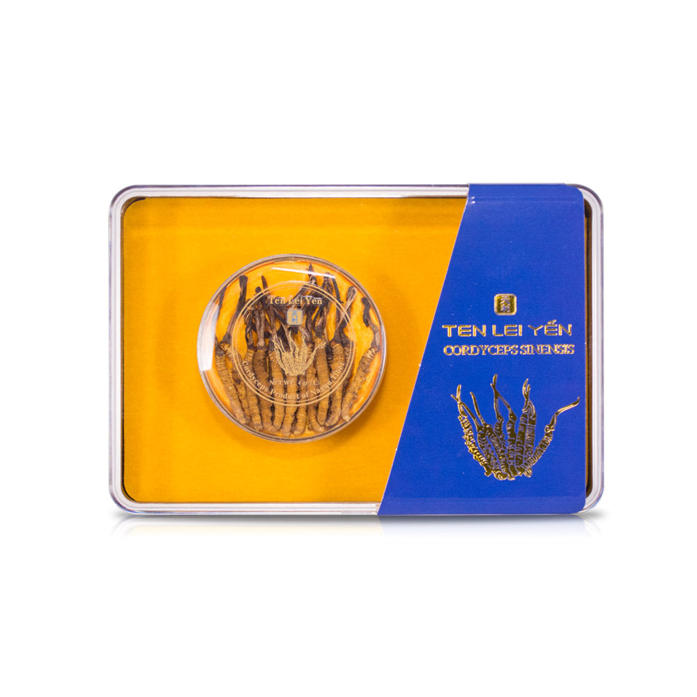 Graded wild Cordyceps sinensis pieces from Nagqu, Tibet on a white surface