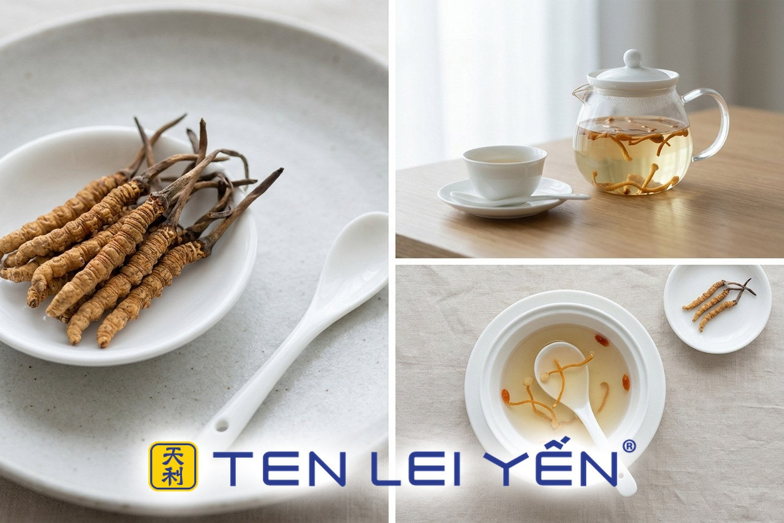 Why Cordyceps Is Called 'Winter Worm, Summer Grass'