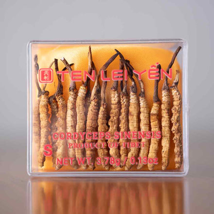Cultivated Cordyceps Sinensis, Tibet, Small, 3.78g box
