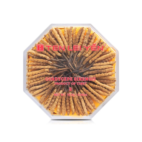 Cultivated Cordyceps Sinensis – Tibet – Small – 18.9g (0.67 oz)