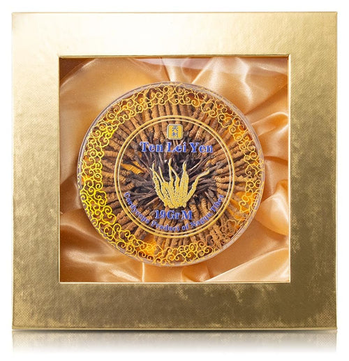 Cultivated cordyceps sinensis, medium 19g box