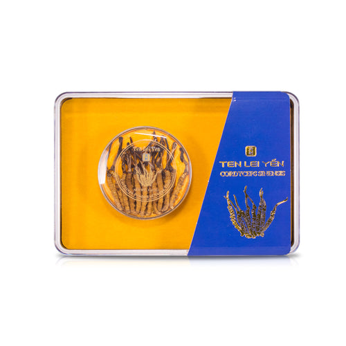 Wild Cordyceps Sinensis from Nagqu, Tibet, large, 4g