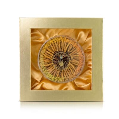 Cordyceps Nagqu Tibet 19 Grams Large 🎁