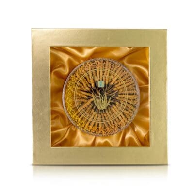 Cordyceps Nagqu Tibet 38 Grams Large 🎁