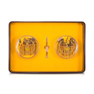 Alternative view of Cordyceps Nagqu Tibet 8 Grams Large