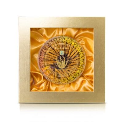 Cordyceps Nagqu Tibet 38 Grams Extra Large 🎁