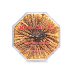 Ten Lei Yen - Cultivated Cordyceps 18.9 Gram Large