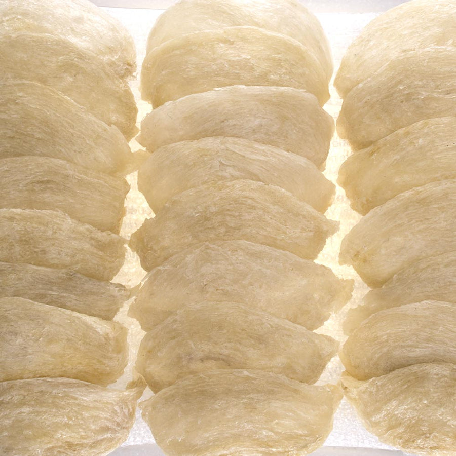 Rows of whole dried white edible bird's nests showing their natural cup shape and fine fibrous strands — Ten Lei Yen Blue Label Supreme