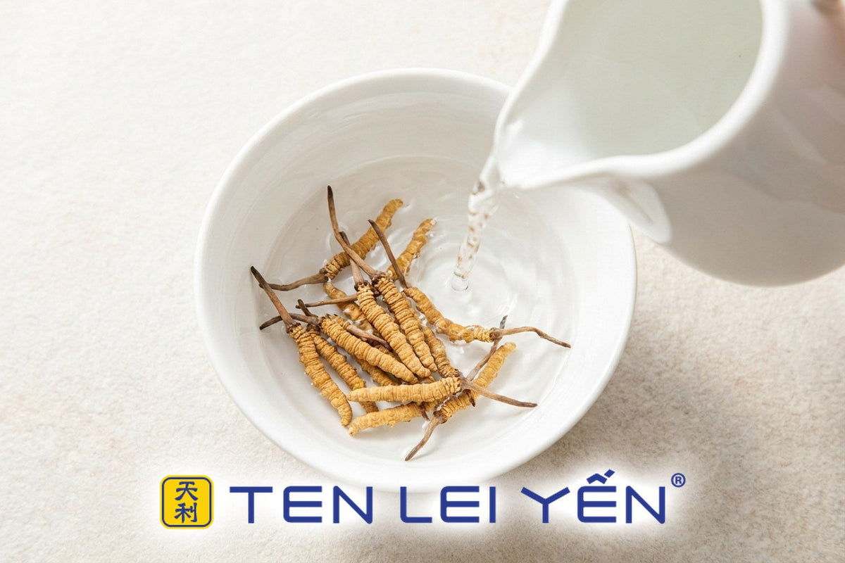 Water being poured into a porcelain bowl of dry wild cordyceps sinensis to show a double-boil water ratio