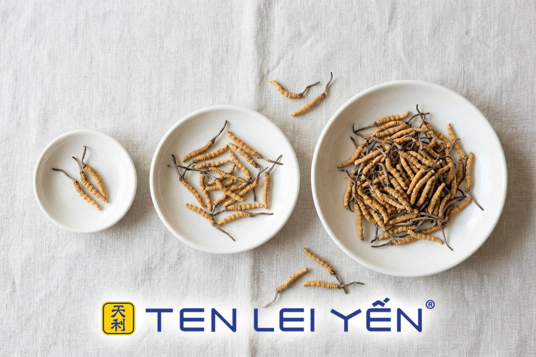 Three porcelain dishes of dry wild cordyceps sinensis in increasing quantities showing three pack sizes