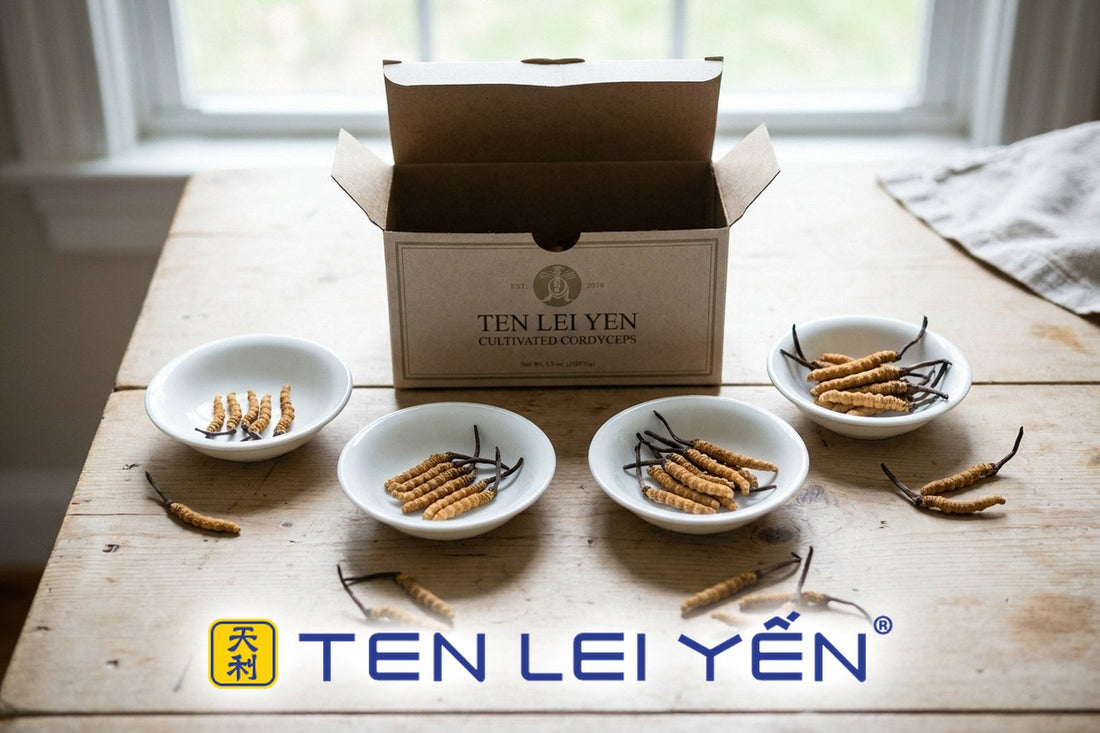 Ten Lei Yen cultivated cordyceps box with pieces in four sizes