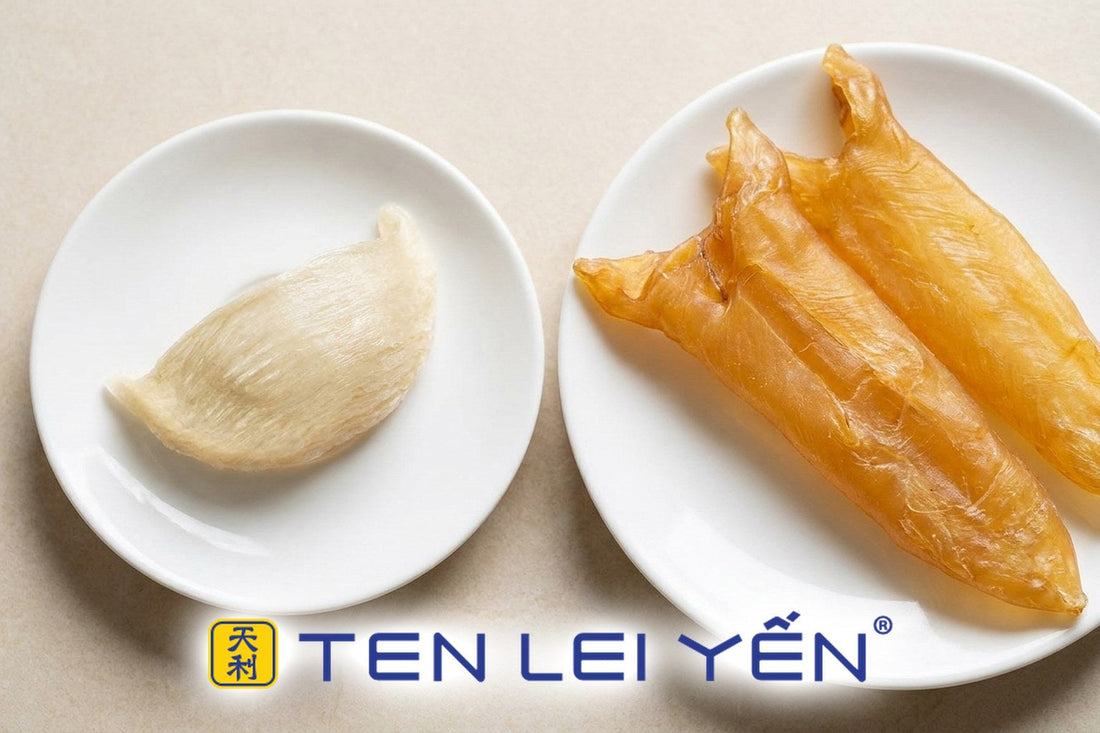 A raw dried bird's nest and golden-amber dried fish maw pieces on separate white porcelain plates, an overhead comparison