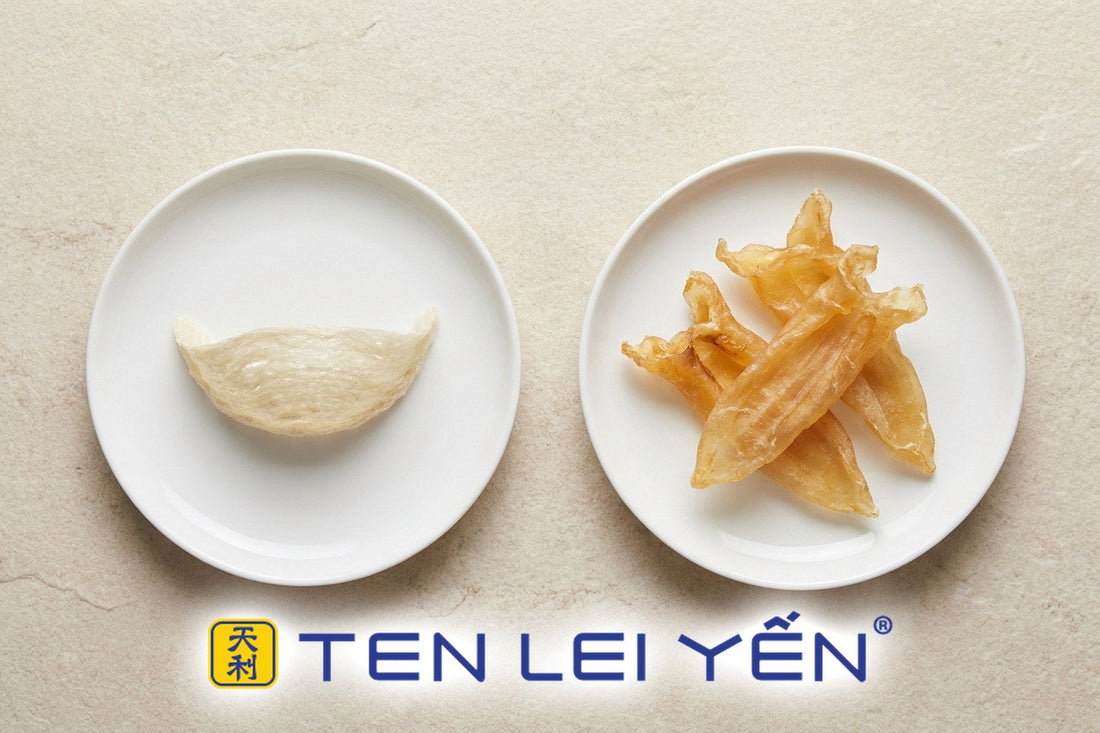 A dried white bird's nest and dried golden fish maw side by side on white porcelain dishes