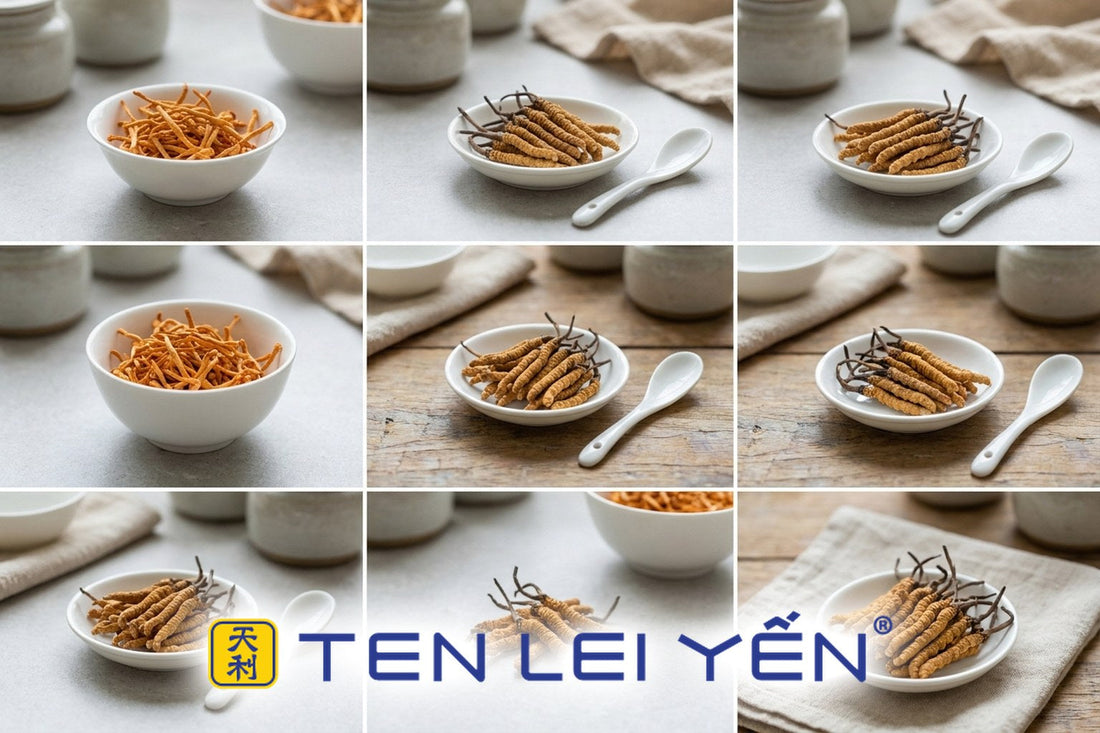 Buying Cordyceps Online: What to Check Before You Order
