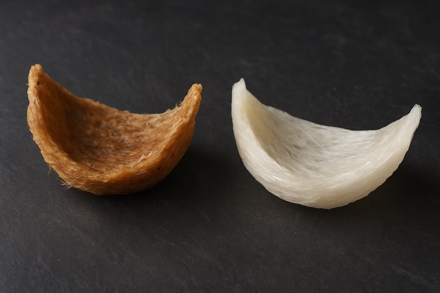 Amber cave-harvested nest beside a white house-farmed nest, both in natural half-cup shapes