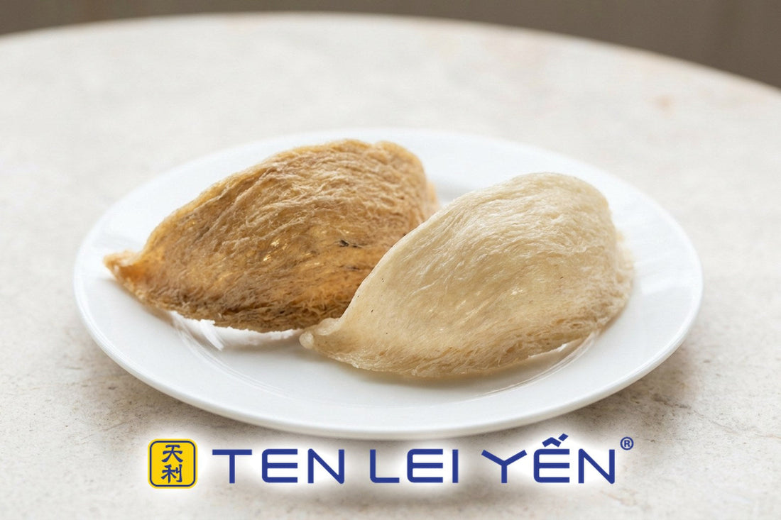 Two dried edible bird's nests side by side showing golden cave-nest and white house-nest color
