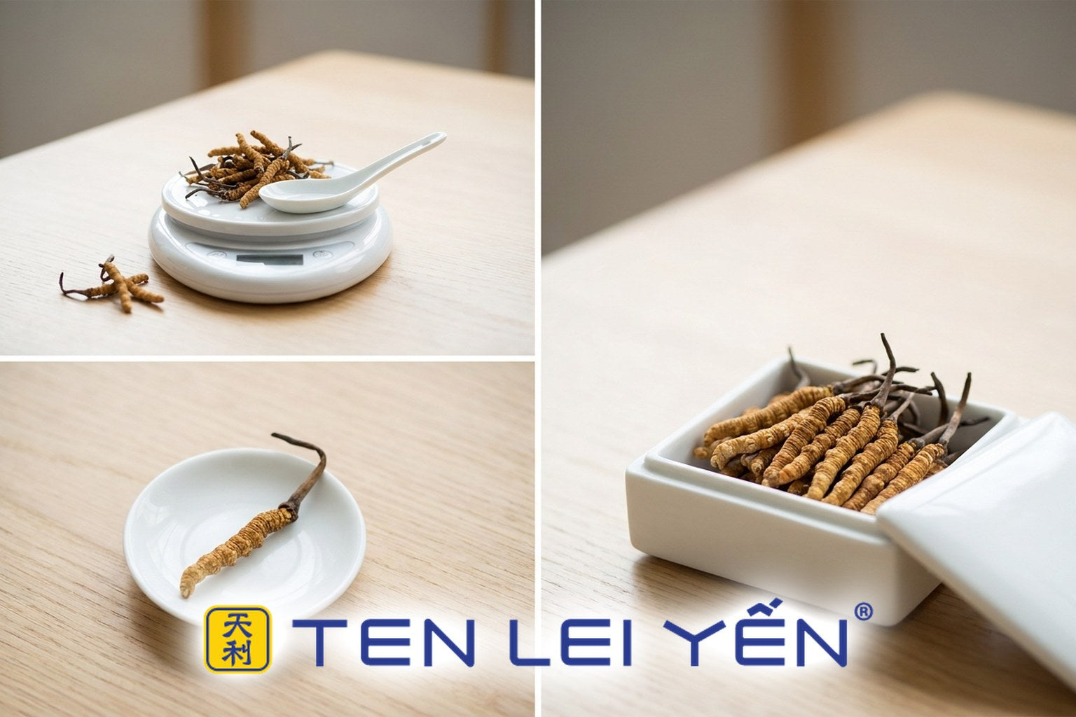 Comparing Cordyceps Value: By the Gram, the Piece, and the Box