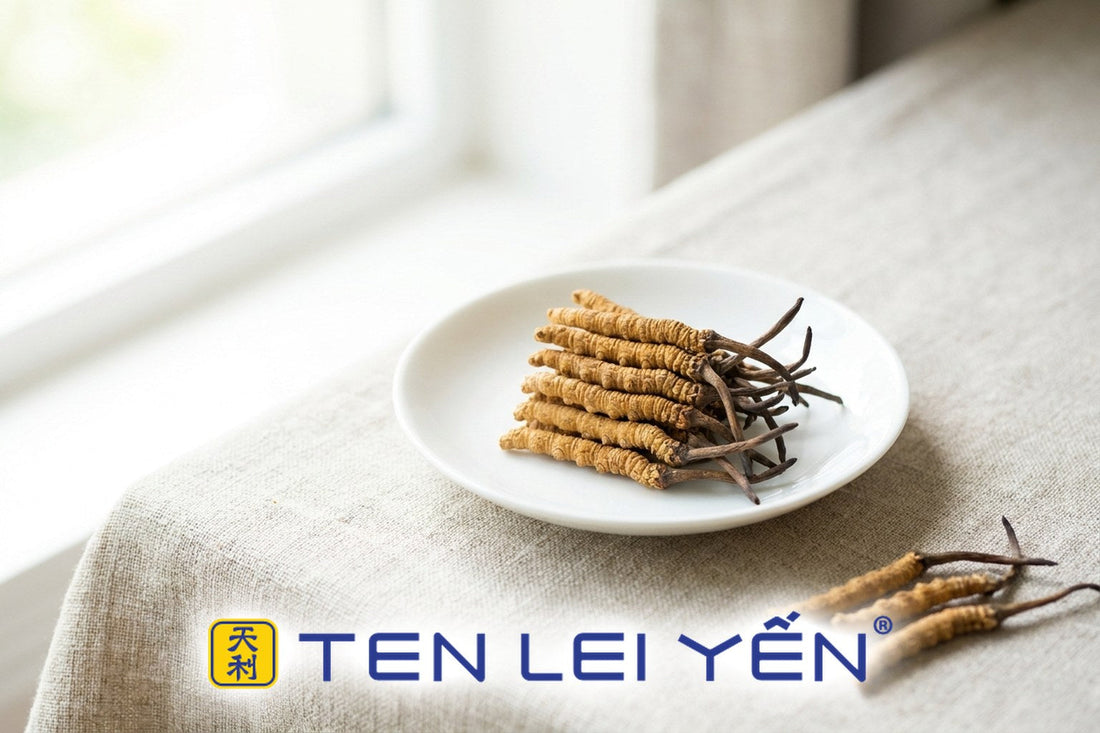 A small arranged pile of wild Cordyceps sinensis on a white porcelain dish, each a tan-golden segmented caterpillar body with a single slender dark stalk