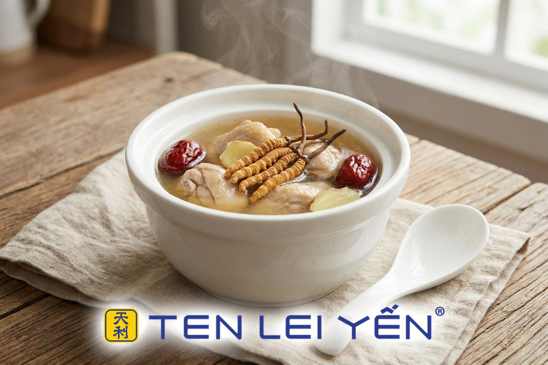 Double-boiled wild cordyceps and chicken soup with red dates and ginger in a white porcelain bowl