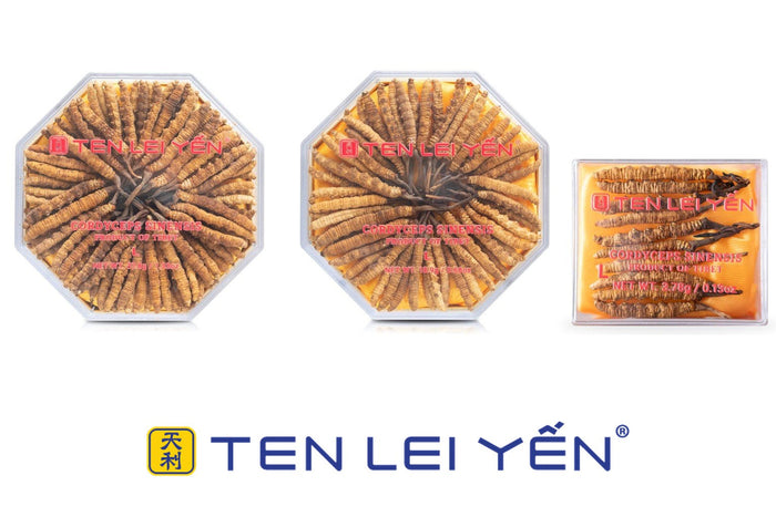 Ten Lei Yen cultivated cordyceps Large in real 37.8g, 18.9g and 3.78g boxes