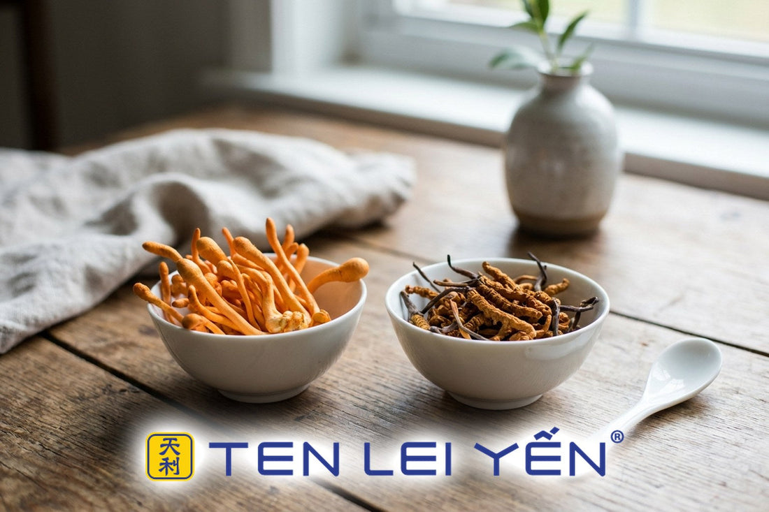 Fresh vs Dried Cordyceps: What Changes in the Kitchen