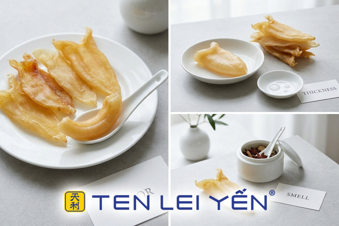 How to Choose Good Fish Maw: Color, Thickness, and Smell