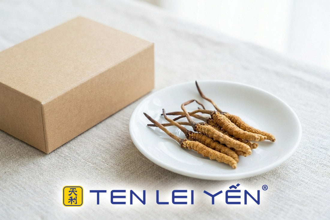 Whole dried wild Cordyceps sinensis on a white dish beside a plain unbranded box