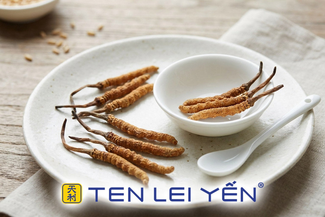 Nagqu Wild Cordyceps: Why Tibet's Highest Plateau Produces the World's Most Sought-After Sinensis