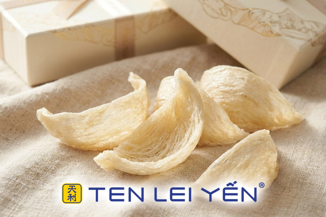 Raw dried edible bird's nests in half-cup boat shapes with tightly woven ivory strands on linen, cream and gold gift boxes behind
