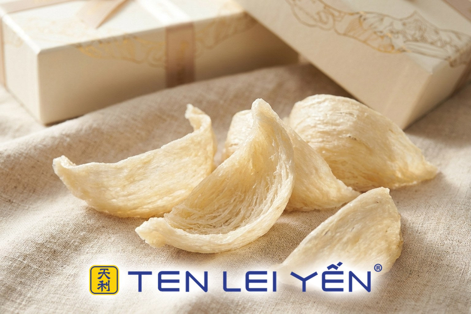 Raw dried edible bird's nests in half-cup boat shapes with tightly woven ivory strands on linen, cream and gold gift boxes behind