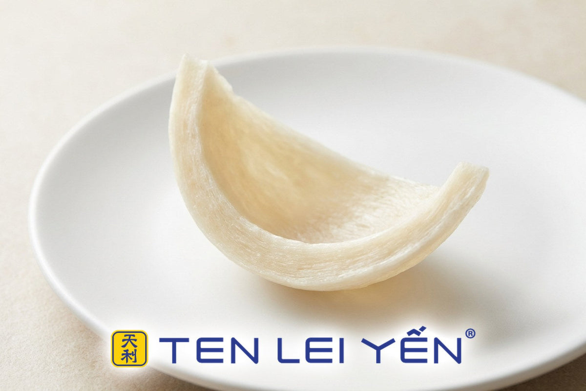 A raw edible swiftlet nest shaped as a dense half-cup bracket, on a white porcelain plate