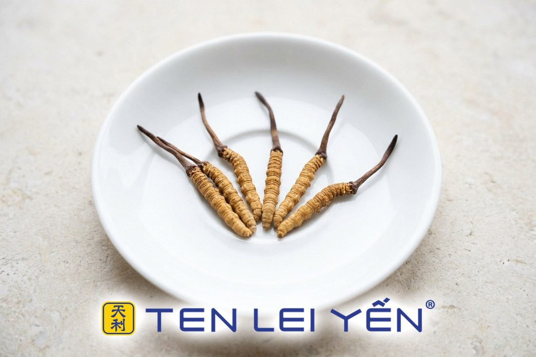 Five whole wild cordyceps sinensis pieces, tan-golden segmented caterpillar bodies with slender dark stalks, on a white porcelain plate