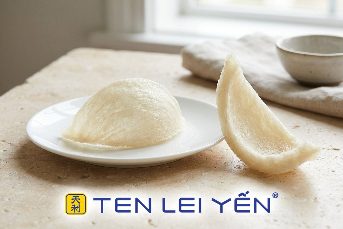 Two raw edible swiftlet nests on a white porcelain plate and stone surface