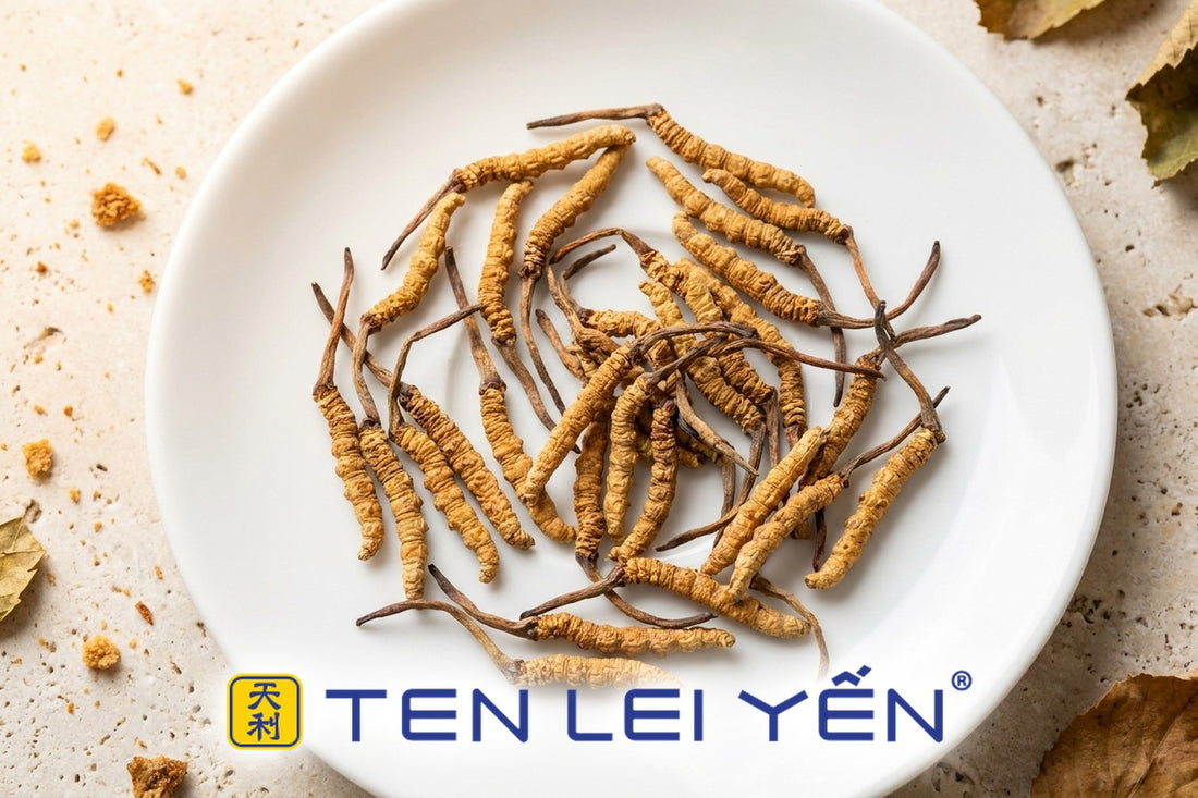 Whole dried wild cordyceps pieces arranged on a white porcelain plate, showing the segmented body and slender stalk used to judge dryness