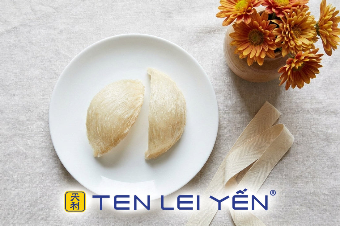 Two dried edible bird's nest pieces on a white porcelain plate with autumn chrysanthemums and a cream ribbon