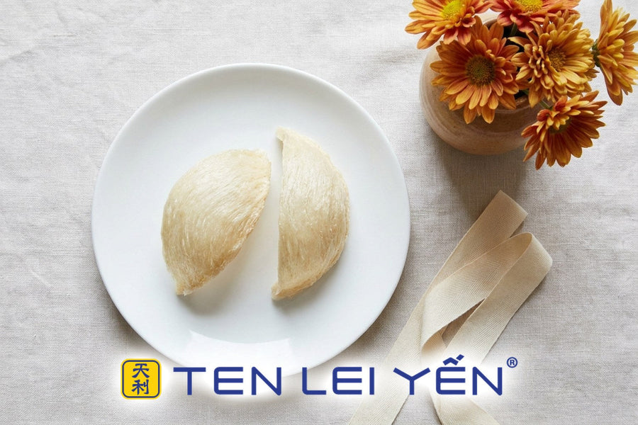 Two dried edible bird's nest pieces on a white porcelain plate with autumn chrysanthemums and a cream ribbon