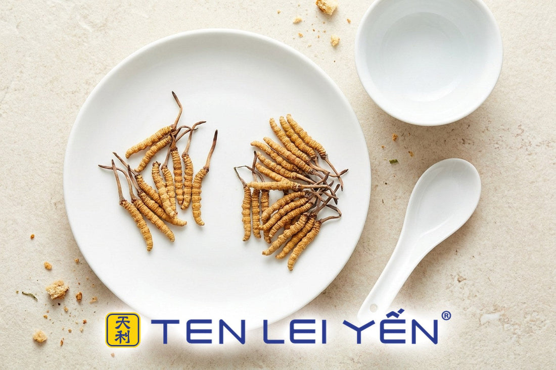 Two small portions of whole wild Cordyceps sinensis pieces on a white porcelain plate