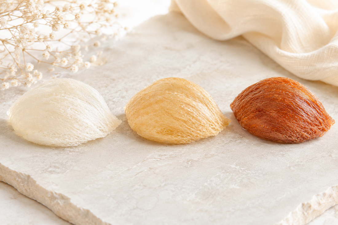 White, golden, and red edible bird's nests shown side by side