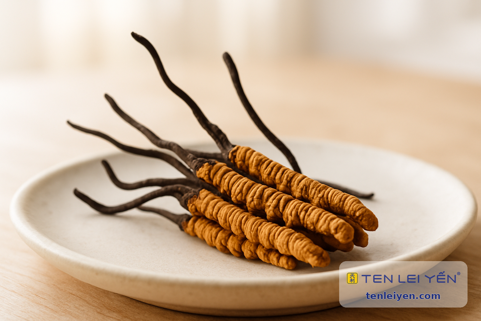 Authentic dried Cordyceps sinensis caterpillar fungus