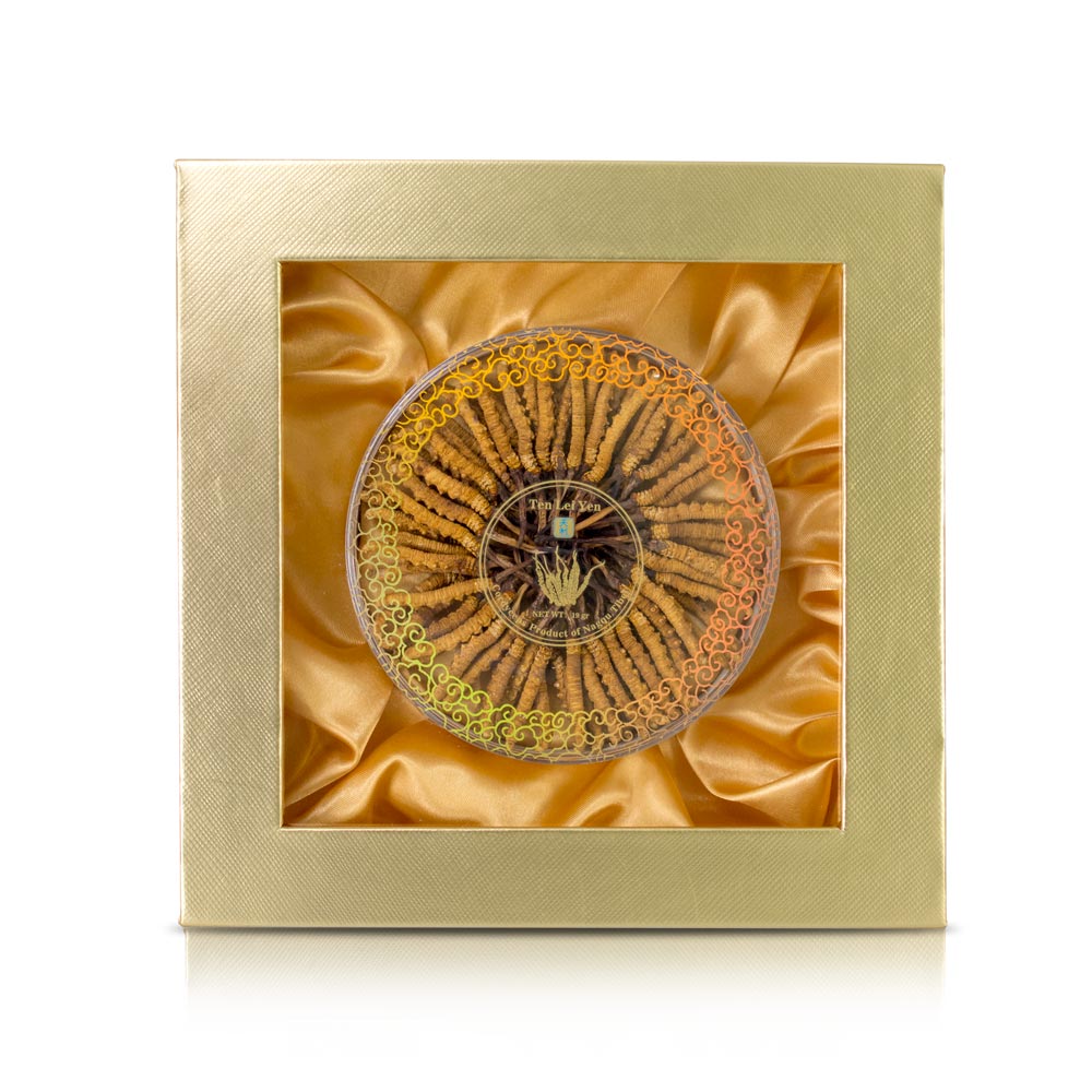 Premium dried wild Cordyceps sinensis, the key ingredient for double-boiled cordyceps chicken soup