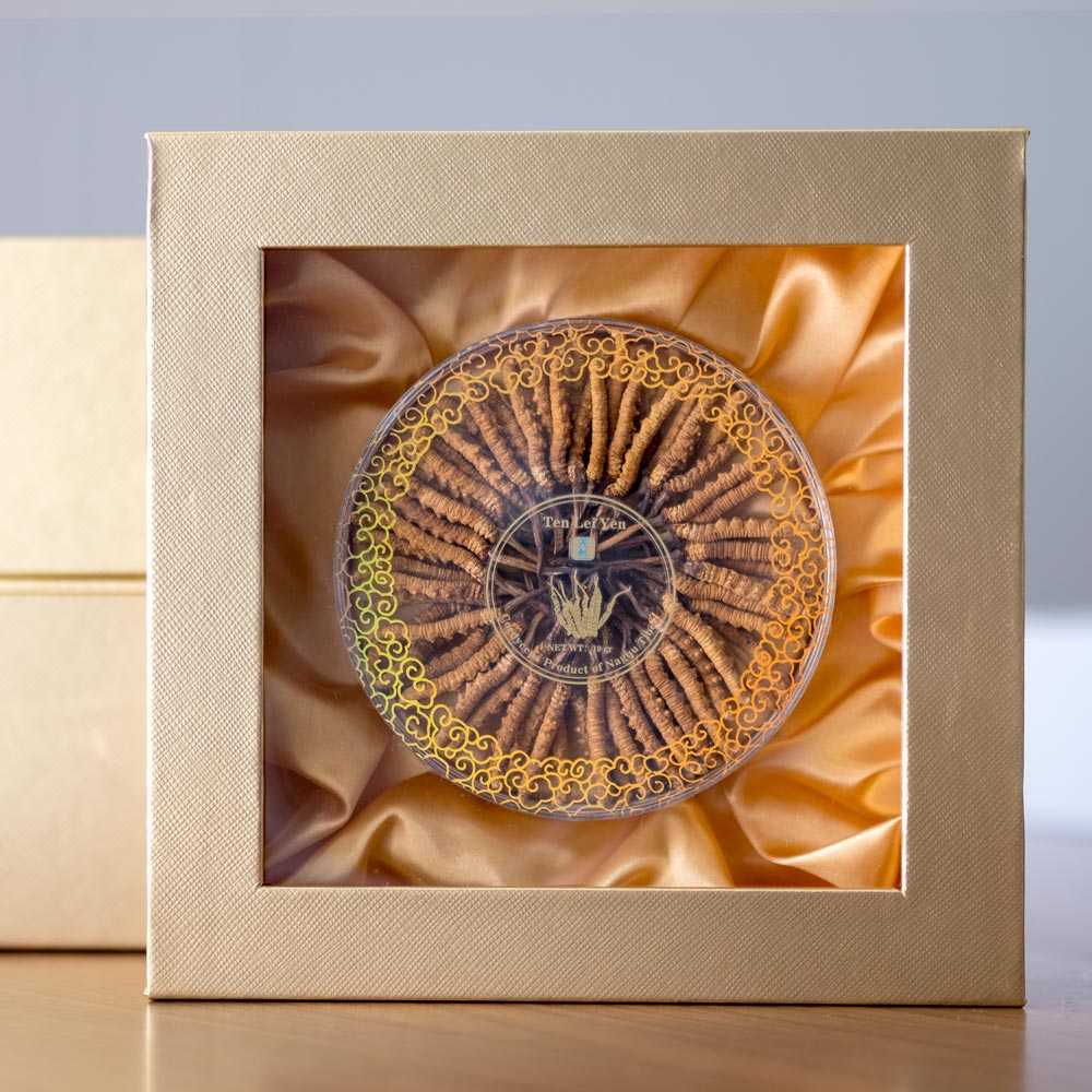 Wild Cordyceps sinensis from Nagqu, Tibet, Large 19g, whole pieces arranged in the Ten Lei Yen gift box