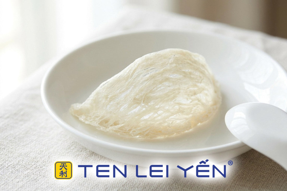 Whole dried white edible bird's nest in a white porcelain dish with a porcelain spoon