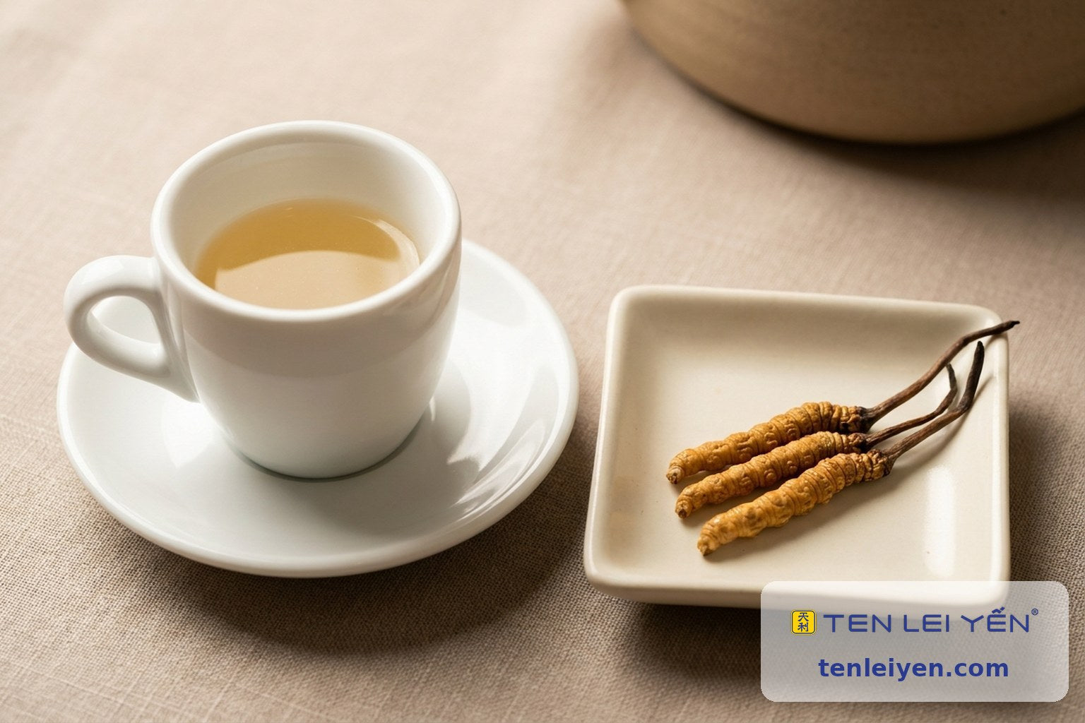 A cup of pale golden cordyceps broth beside a tasting dish with whole wild cordyceps sinensis